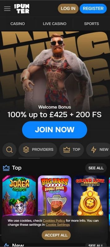 Mr Punter Casino – Testbericht 2025