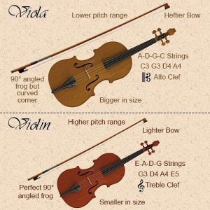 Can you Differentiate Violin from Viola? « All Shops