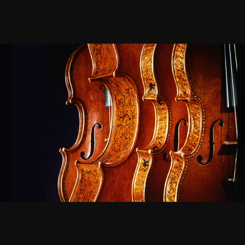 Perder la paciencia Reactor agencia Venta de Violines y Accesorios « All Violin Shops
